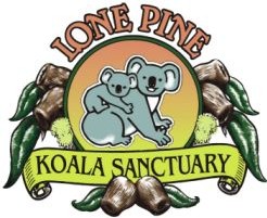Lone Pine Koala Sanctuary - Accommodation Airlie Beach