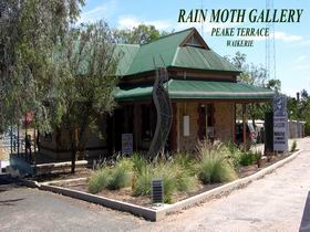 Rain Moth Gallery - Accommodation Airlie Beach