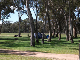 Black Cockatoo Bush Camp - Accommodation Airlie Beach