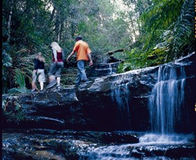 South Lawson Waterfall Circuit - Accommodation Airlie Beach