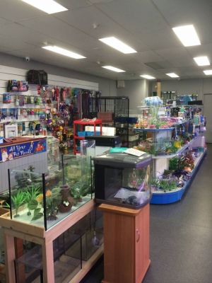 Nambour Pet Shop - Accommodation Airlie Beach