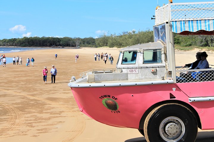 1770 Coastline Tour by LARC Amphibious Vehicle Including Picnic Lunch - Accommodation Airlie Beach